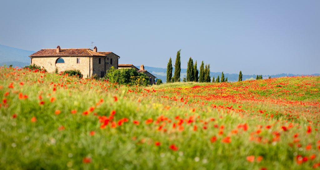 Typical tuscan house with red dots of poppies in the foreground. European Spring Blooms