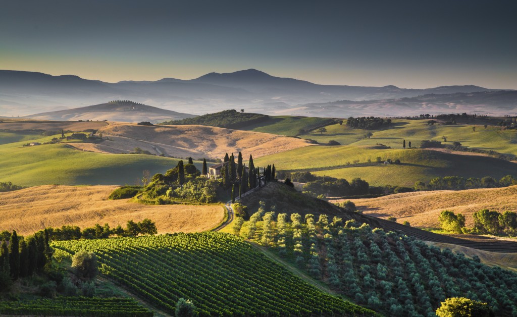 Tuscany Vineyard and Villa. Wines of Tuscany