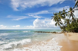 Barbados things to do and villas