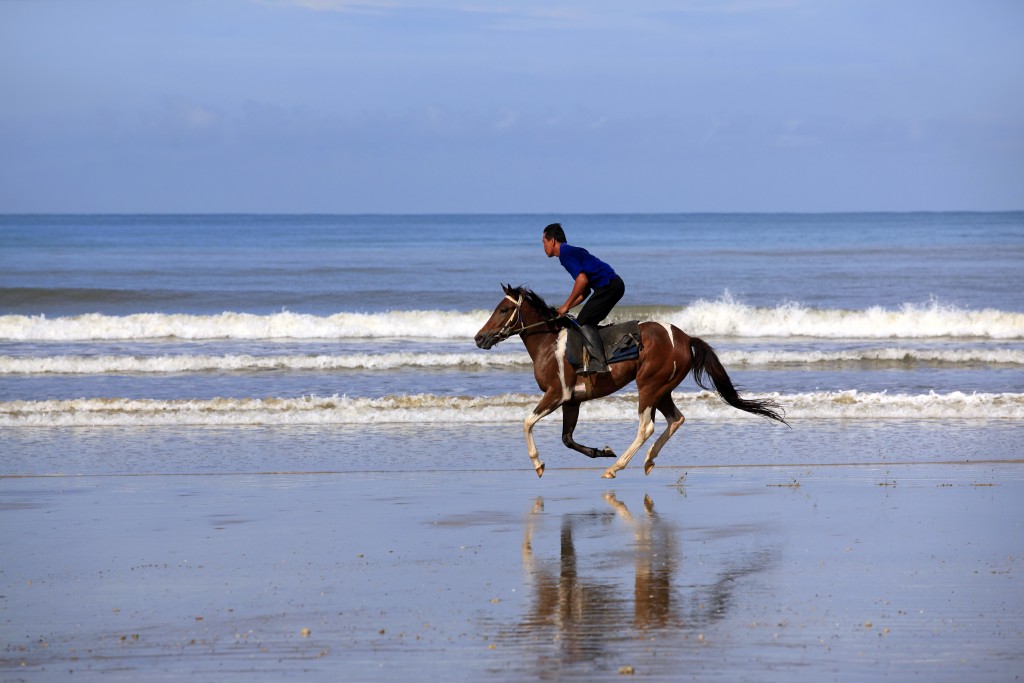 A horse galloping on the beach. Top Activities Punta Mita