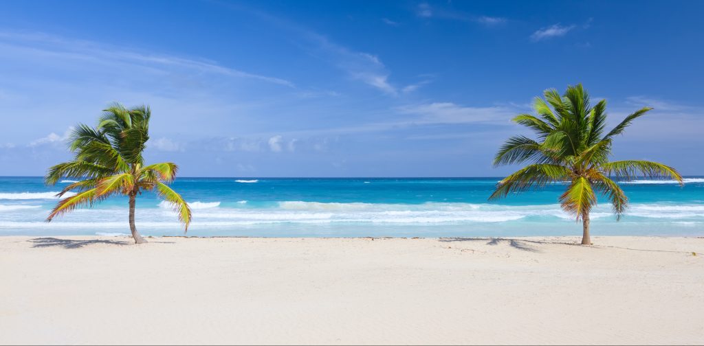 Two palm trees on the tropical beach, Bavaro, Punta Cana, Dominican Republic. Punta Cana Beach