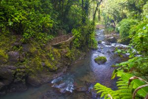 Stream at a tropical rainforest in Costa Rica at La Paz Waterfall Gardens. Costa Rica Eco Adventures