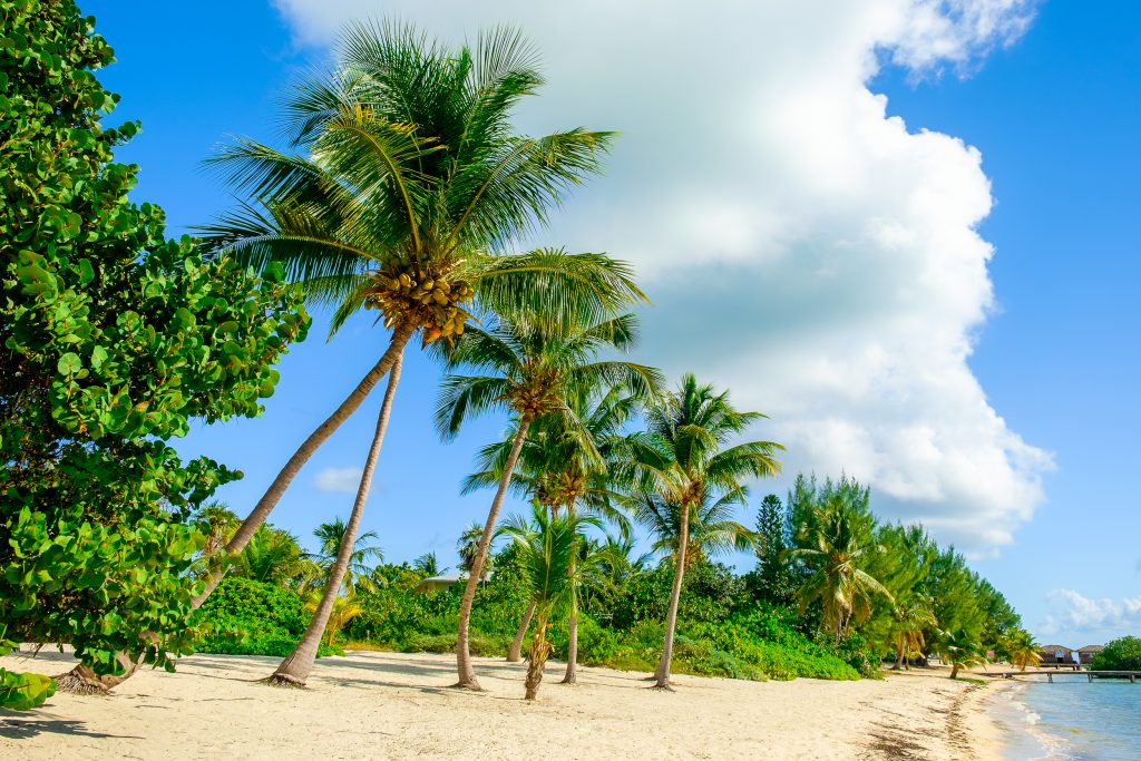 Little Cayman, Cayman Islands, beach of South Hole Sound