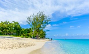 Seven Mile Beach in the Caribbean. Grand Cayman Beaches