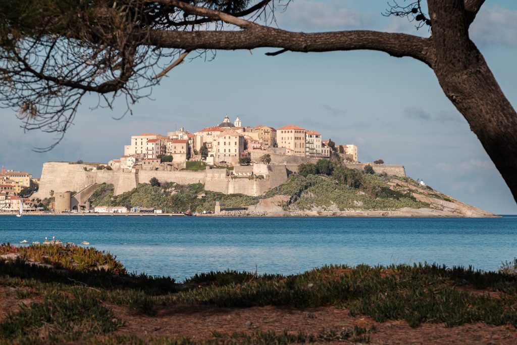 The citadel of Calvi in the Balagne region of Corsica sitting on the deep blue Mediterranean and framed by an old pine tree. Spring in Corsica