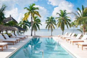 Beachfront Pool, sunbeds and palms. Discover the Cayman Islands