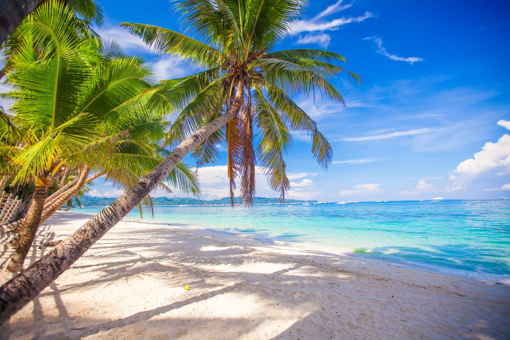 Tropical beach. Best Caribbean Beaches