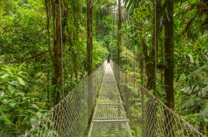 Suspended bridge at natural rainforest park, Costa Rica. Things to do in Costa Rica