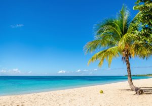 Amazing sandy beach with coconut palm tree and blue sky. Safest Caribbean Islands to visit