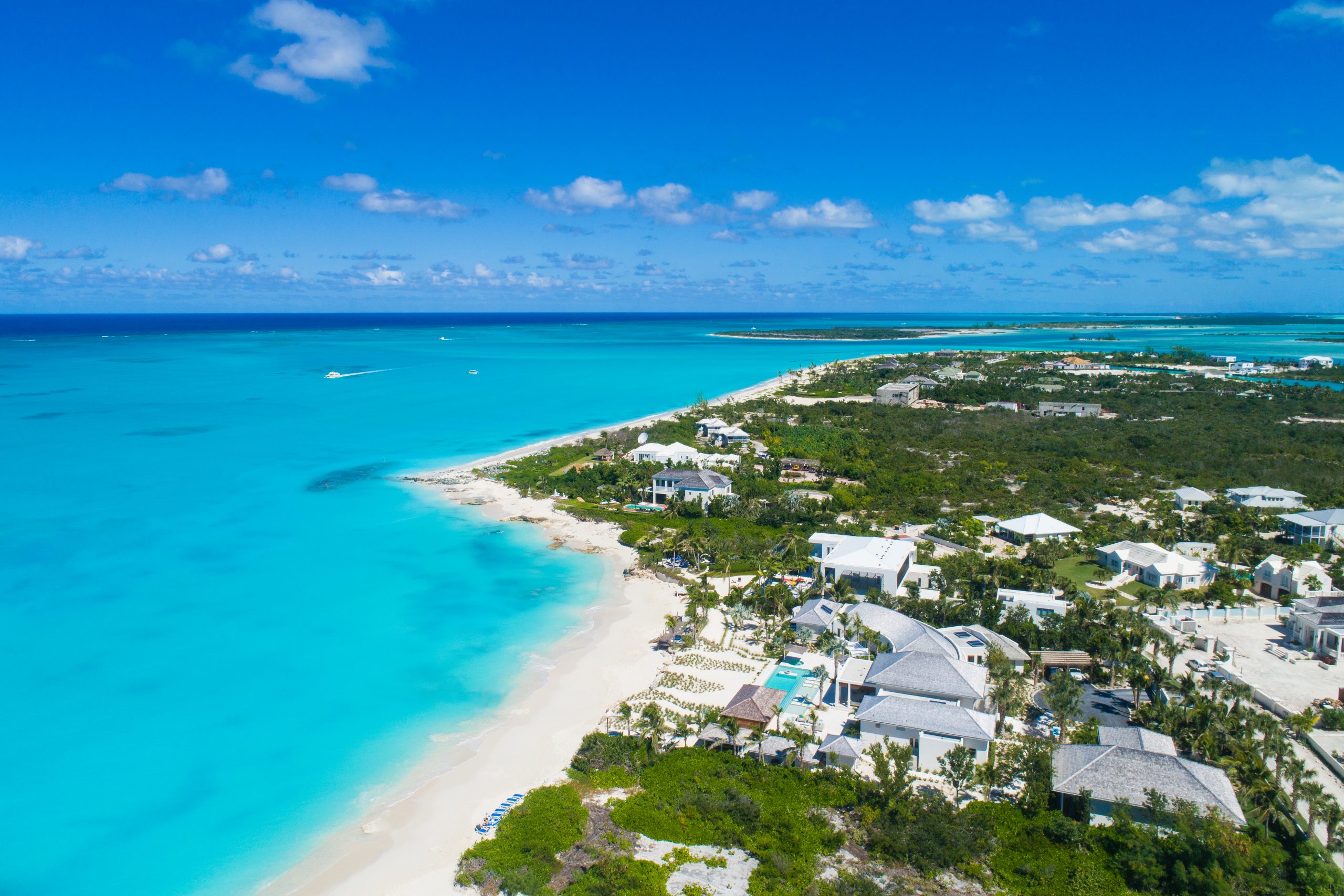 can a akita live in turks and caicos islands